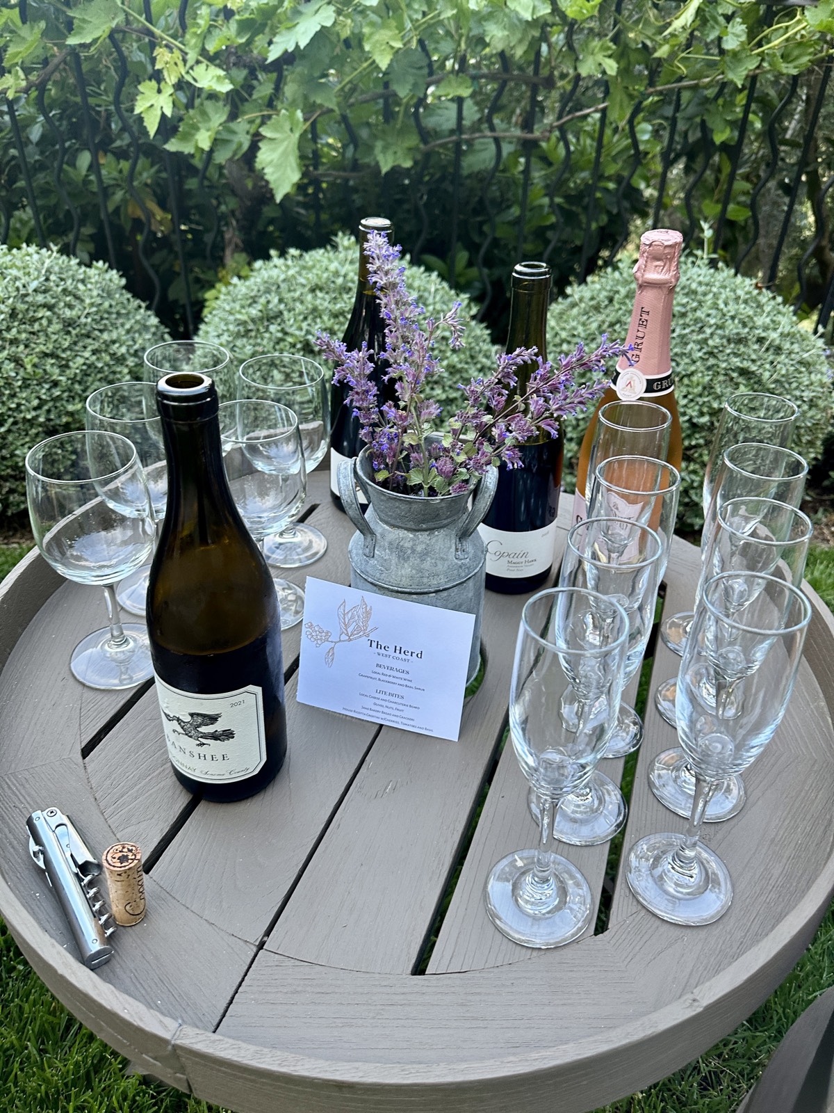 Wine tasting setup in the garden
